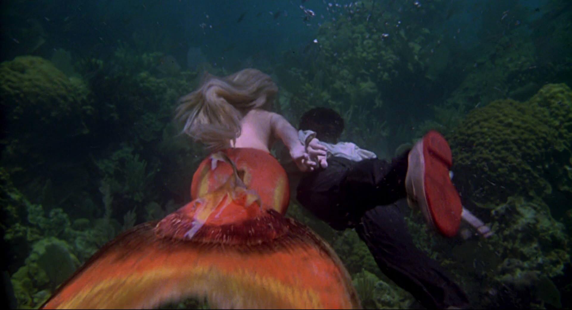 A man and woman swimming underwater next to an orange object.
