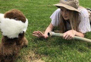 A girl is playing with an animal in the grass.